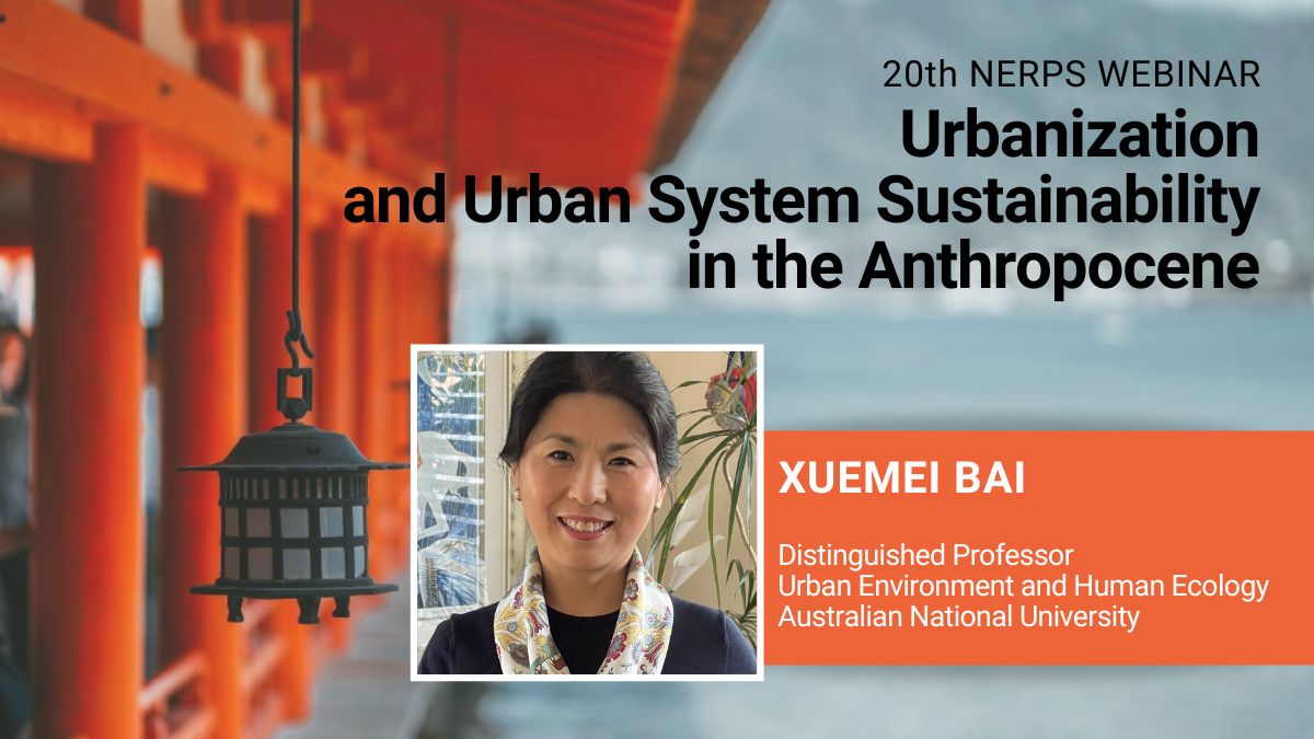 20th Nerps Webinar Urbanization And Urban System Sustainability In The