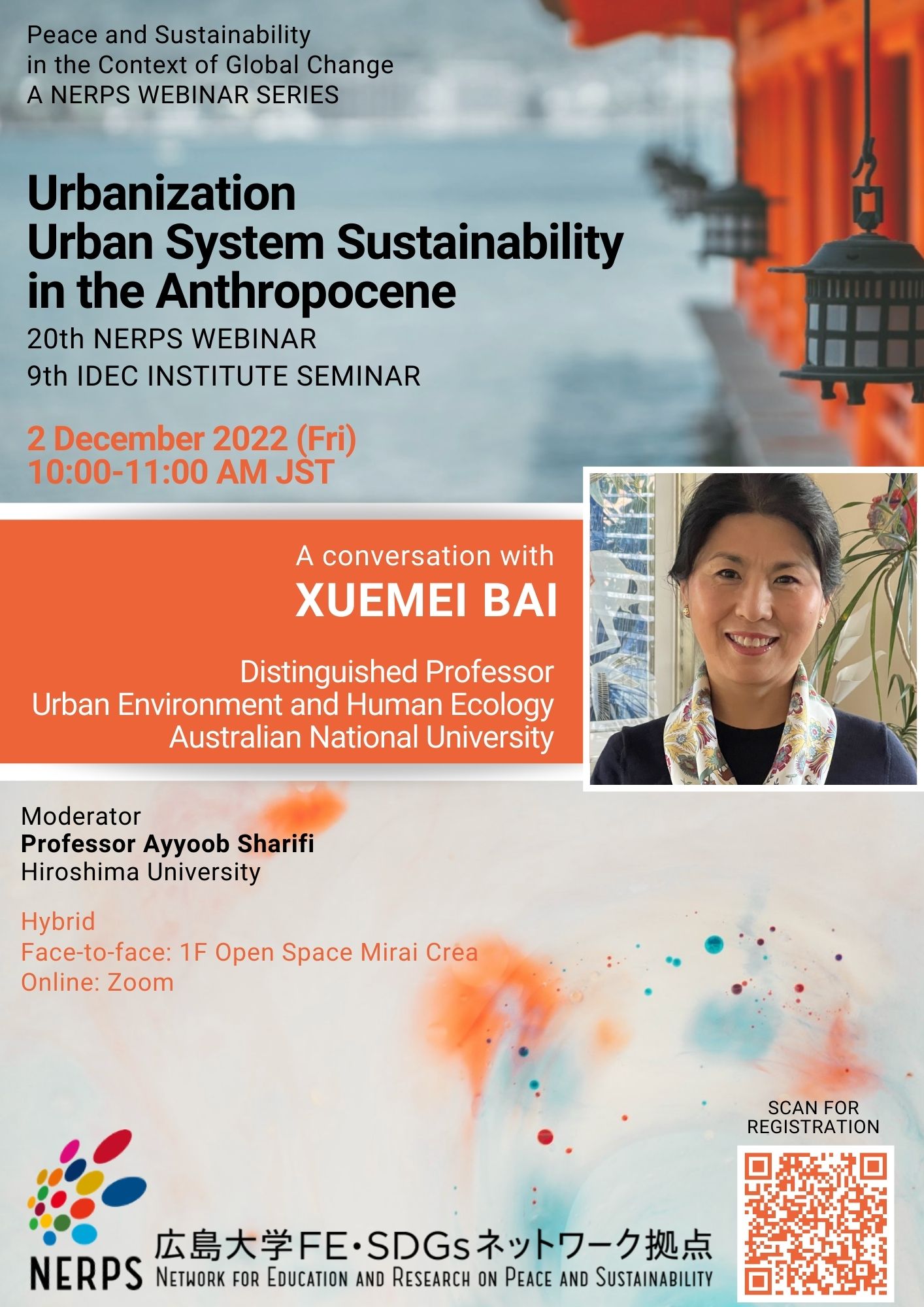 20th Nerps Webinar Urbanization And Urban System Sustainability In The