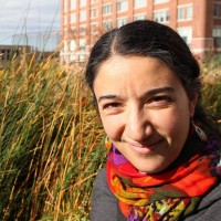 Linda Pistolesi, Columbia University